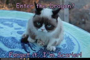 Enter the Dragon?  Forget it, I'm Scarier!