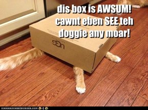 dis box is AWSUM! cawnt eben SEE teh doggie any moar!