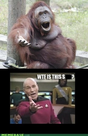 Monkey sees, monkey does