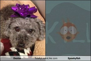 Dexter Totally Looks Like Spookyfish