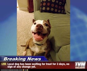 Breaking News - Local dog has been waiting for treat for 3 days, no sign of any change yet.