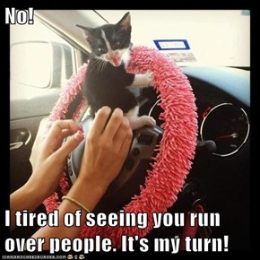 No!  I tired of seeing you run over people. It's my turn!