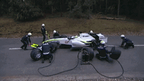 I Don't Get It, Why is This on Animal GIFs...