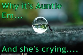 Why it's Auntie Em...  And she's crying....