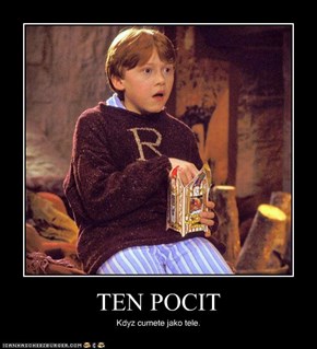 TEN POCIT