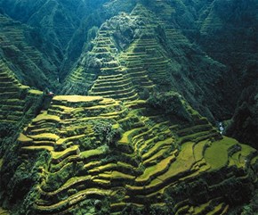 Terraced Hills in the Philippines