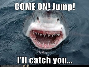 COME ON! Jump!  I'll catch you...