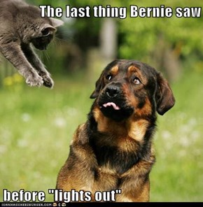 The last thing Bernie saw  before "lights out"