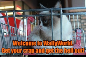 GrumpyCat: WallyWorld Greeter