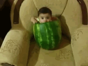Anne Geddes Makes it Look Easy