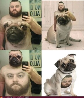 Classic: Dog Shirt.... Or Human Shirt
