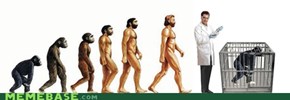 Man evolution timeline