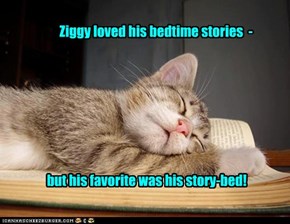 books fur nappin!