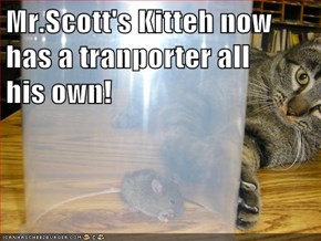 Mr.Scott's Kitteh now has a tranporter all        his own!