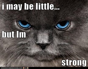 i may be little... but Im strong