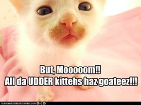 But, Mooooom!!  All da UDDER kittehs haz goateez!!!