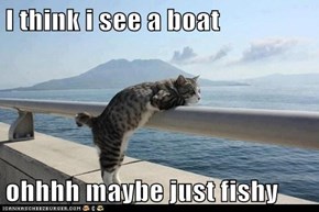 I think i see a boat  ohhhh maybe just fishy