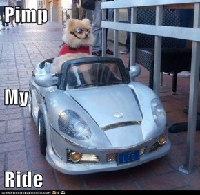 Pimp My Ride