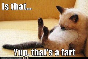 Is that...  Yup, that's a fart