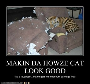 MAKIN DA HOWZE CAT LOOK GOOD