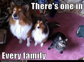 There's one in  Every family