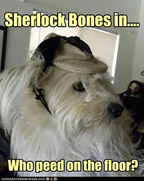 No Sh*T Sherlock?