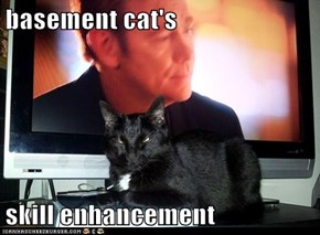 basement cat's  skill enhancement