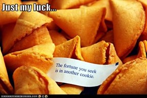 Just my luck...