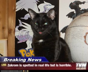 Breaking News - Zekrom is spotted in real life but is horrible.