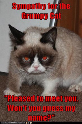 Sympathy for the Grumpy Cat  "Pleased to meet you.  Won't you guess my name?"