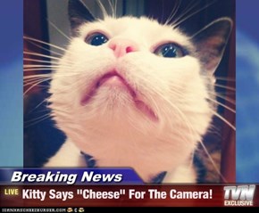 Breaking News - Kitty Says "Cheese" For The Camera!