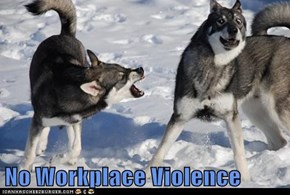 No Workplace Violence