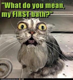 "What do you mean, my FIRST bath?"