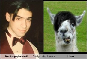 Dan Appppplechinski Totally Looks Like Llama