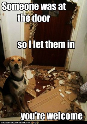 Dog Logic