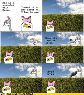 Dasee pls