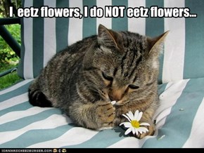 I  eetz flowers, I do NOT eetz flowers...