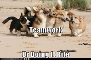 Teamwork Ur Doing It Rite