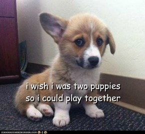 i wish i was two puppies so i could play together
