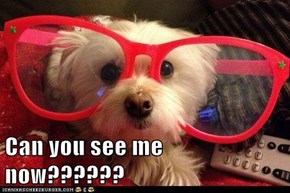 Can you see me now??????