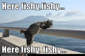 Here fishy,fishy...  Here fishy, fishy...
