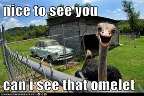nice to see you   can i see that omelet