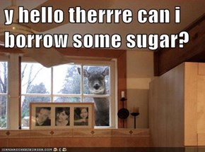 y hello therrre can i borrow some sugar?