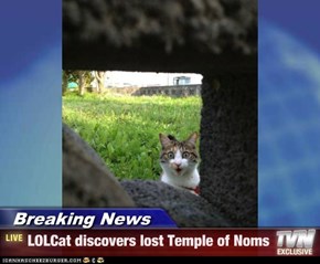 Breaking News - LOLCat discovers lost Temple of Noms