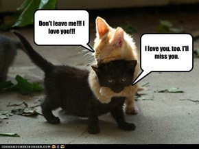 Don't leave me!!!