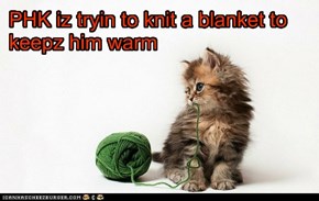 PHK iz tryin to knit a blanket to keepz him warm