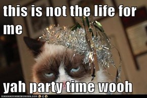 this is not the life for me  yah party time wooh
