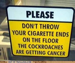 Poor Cockroaches