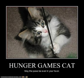 HUNGER GAMES CAT