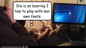 Dis iz so booring I has tu play with mai own feets.